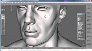 ZBrush to TopoGun Quick Demo