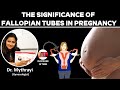 The Significance of Fallopian Tube in Pregnancy : Dr. Mythrayi - Infertility, Gynecologist
