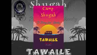D Bwoy Telem Ft Shenky Tawaile