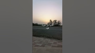 تلاوة من سورة هُود من الآية ١١٤ حتى ١١٧