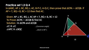 Similarity Class 10 SSC | Practice Set 1.3 | Question no 4 | Maharashtra Board #short_Solutions