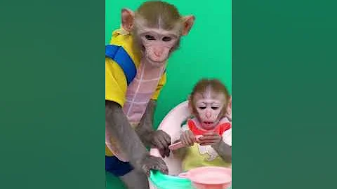 KiKi Monkey take Naughty Baby go shopping Lego Store and drive Lego Car at park #kikimonkey