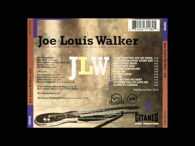 Joe Louis Walker - Rain On My Mind