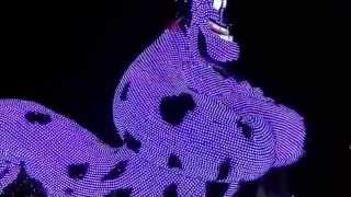 東京ディズニーランド　エレクトリカルパレード・ドリームライツ　2015 0803 1935
