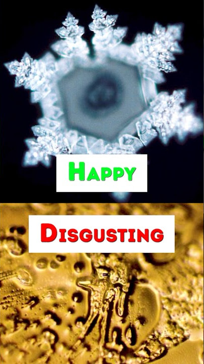 Water Has Memory & Emotions #Shorts