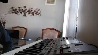 Terketmek ne kadar kollay - Ballad Ibrahim Tatlıses Instrumental (Amator) Korg pa1000 klavye org Resimi