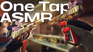 One tap ASMR - Rainbow Six Siege