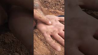 Metal Detecting Find With The Craziest Reveal