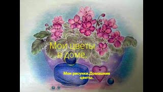 Мои рисунки Домашние цветы