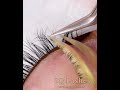 how to do beautiful black and brown volume lashes extension