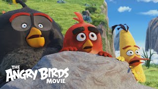 THE ANGRY BIRDS MOVIE -   Theatrical Trailer (HD)