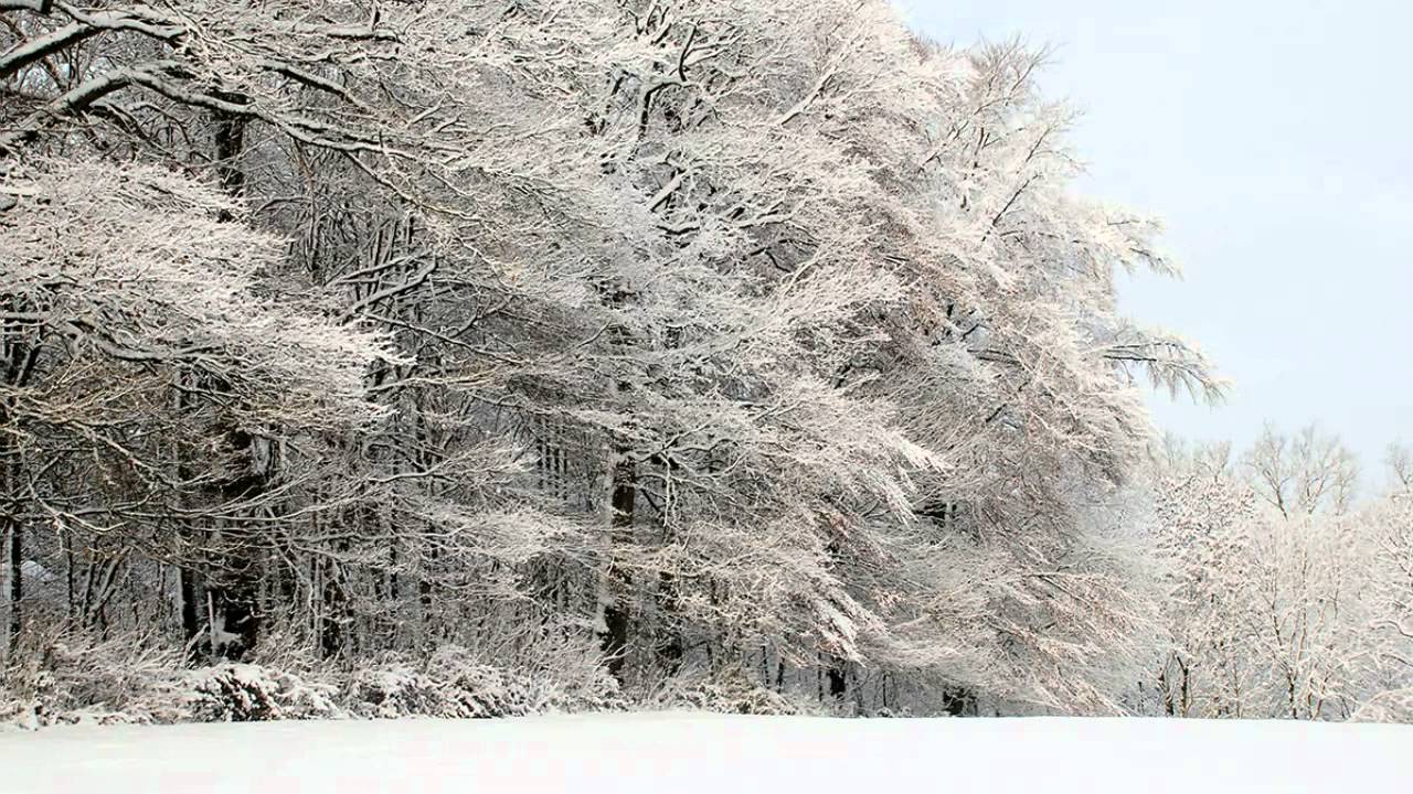 Вивальди кемерово. Антонио Вивальди зима. Вивальди времена года зима. Зимний пейзаж Вивальди. Картина на музыку Вивальди зима.