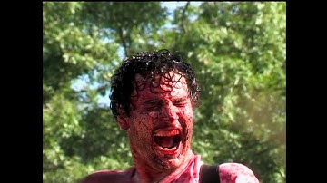 Phoneboy - Wayside [OFFICIAL MUSIC VIDEO]