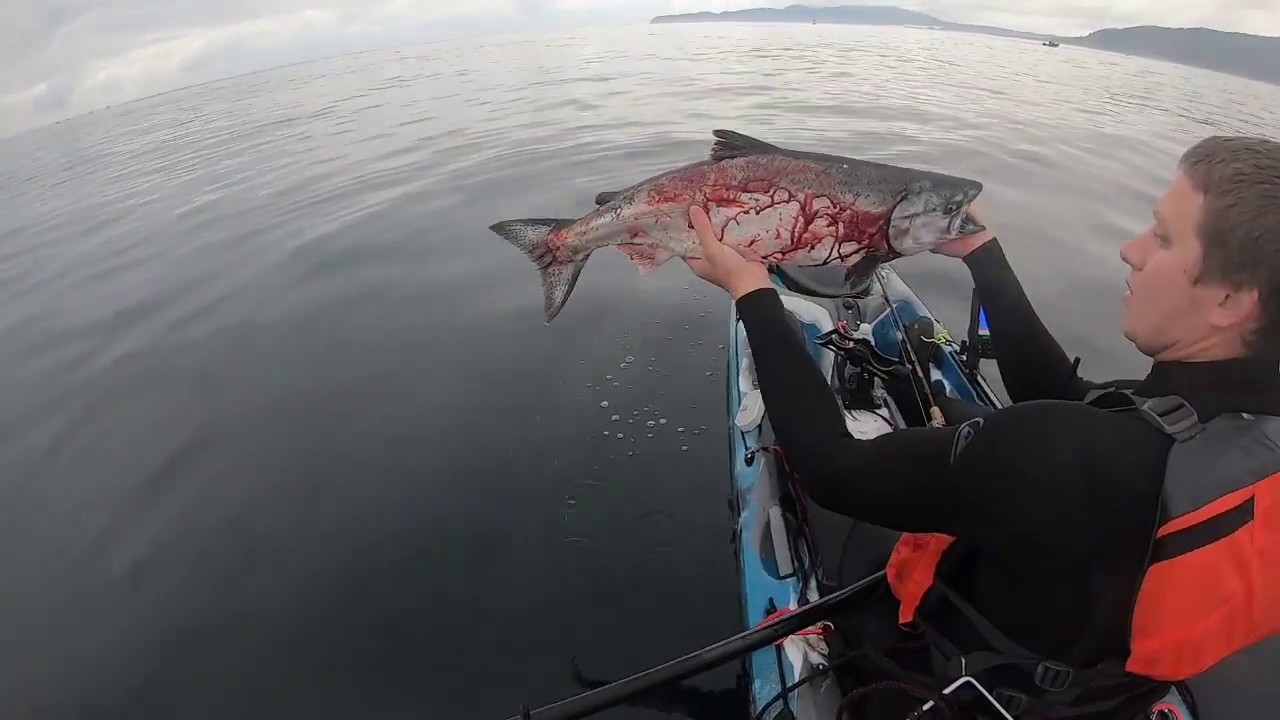 Pacific City kayak fishing YouTube