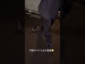 番外編ですが、子猫がついてきた動画　#子猫　#保護猫　#バチ指　#猫