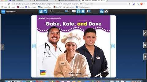 Phonics Decodable Bk