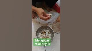 Cara Mudah Mengupas Telur Puyuh