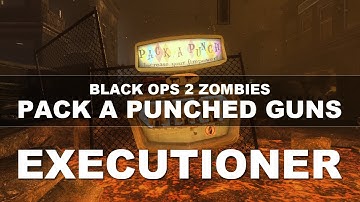 Black Ops 2 Zombies: Pack A Punched Guns | Executioner/Voice of Justice