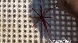 Wrapped Spider