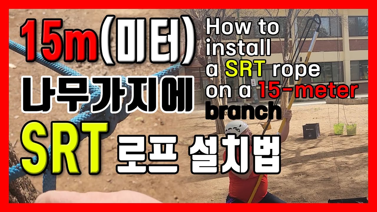 15m미터 나무가지에 SRT 로프 설지법 How to install a SRT rope on a 15 meter branch ...
