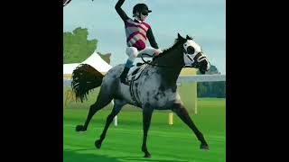 Admiral Samurai 😍✨️ #equestrian #equestriangirl #horseriding #edit #racing #rivalstars
