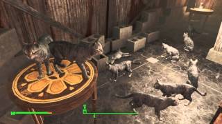 Fallout 4 : Cat house in diamond city screenshot 5