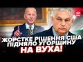 😮У США ШОКУВАЛИ Угорщину рішенням! Поставили НА МІСЦЕ ДРУГА Орбана. Той У ПАНІЦІ РВАНУВ до Індії