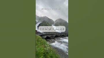 هزاع الشبلي || سورة الإخلاص