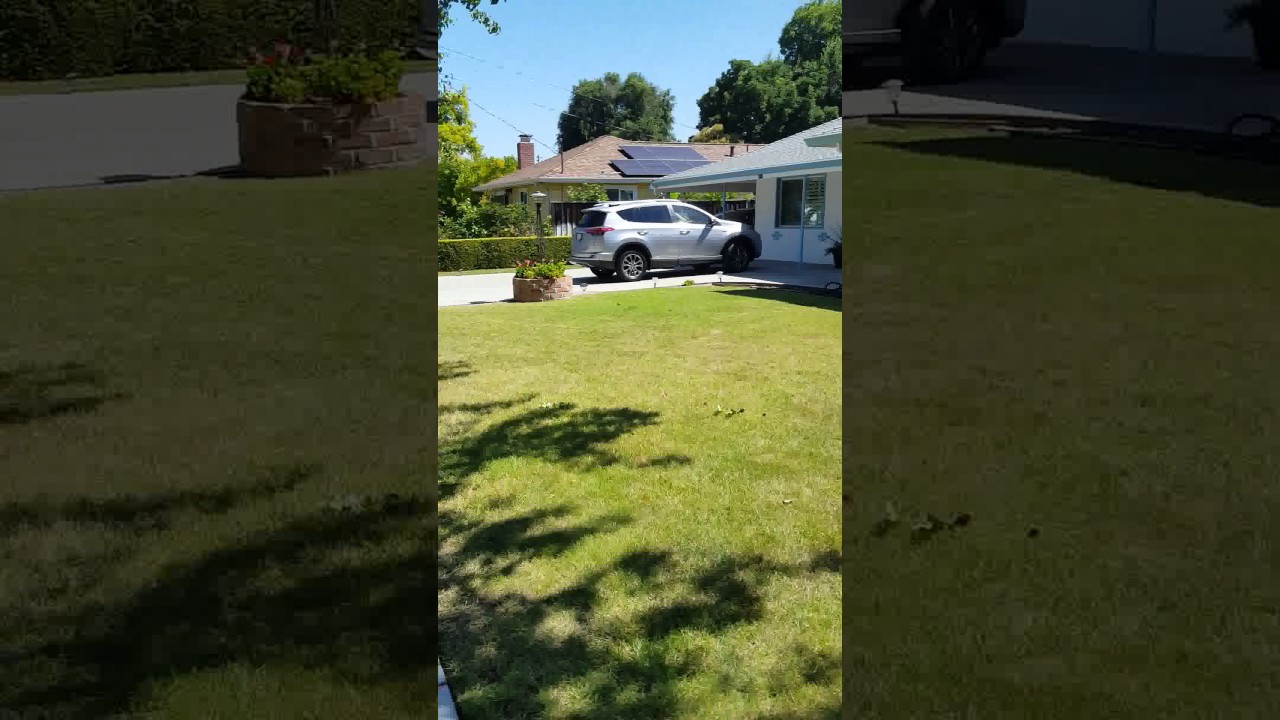 Incessant dog barking from 7:30am to 12:30pm every week day