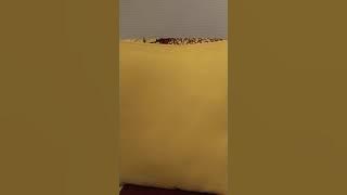 RÉPONSE AU PORTE PAROLE DU GOUVERNEMENT GABONAİS