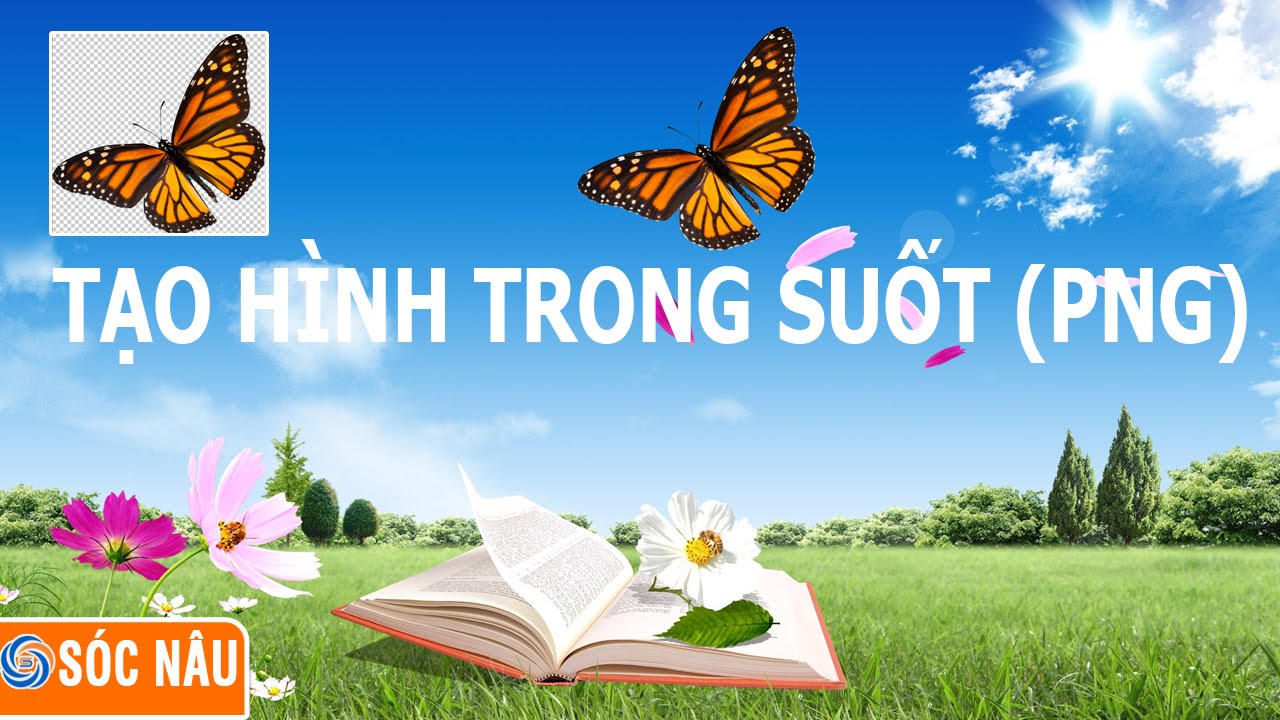 Không có hình - 50 mẫu nền trắng không hình tuyệt đẹp và chất lượng cao