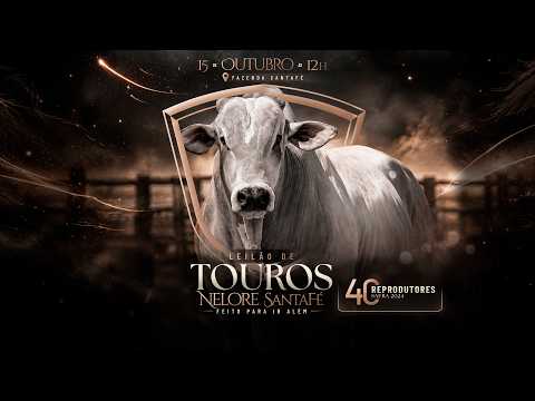 LOTE 10