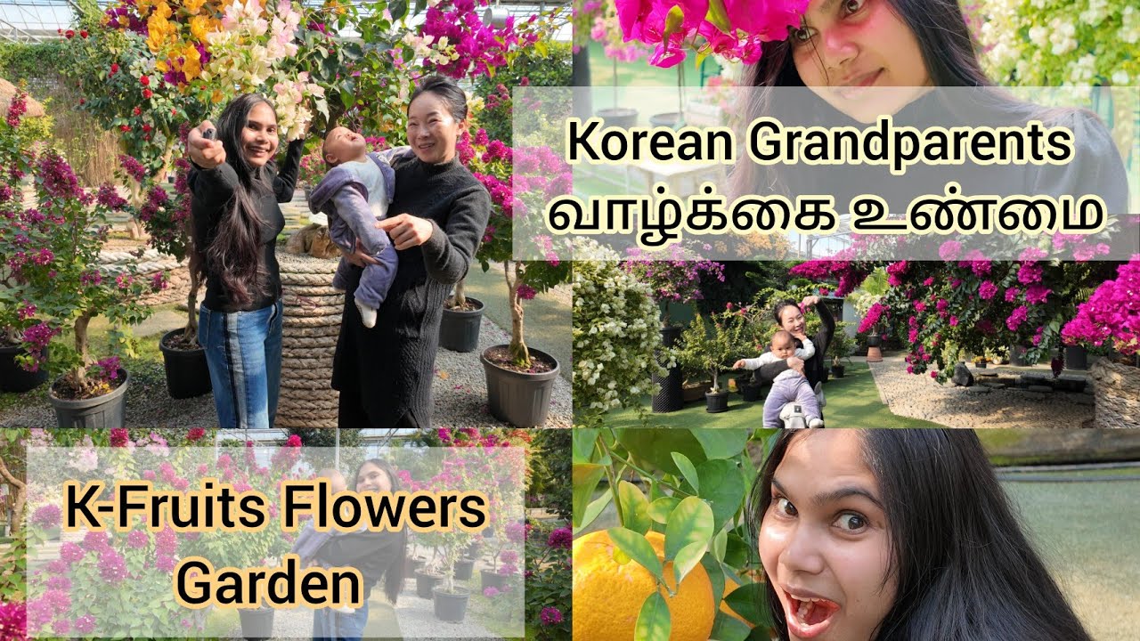 Korean Grandparents எப்படி வாழ்க்கையை நடத்துறாங்கன்னா!!!?????