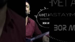 AHMET ARSLAN - YASTAYIM GÜLÜM Resimi