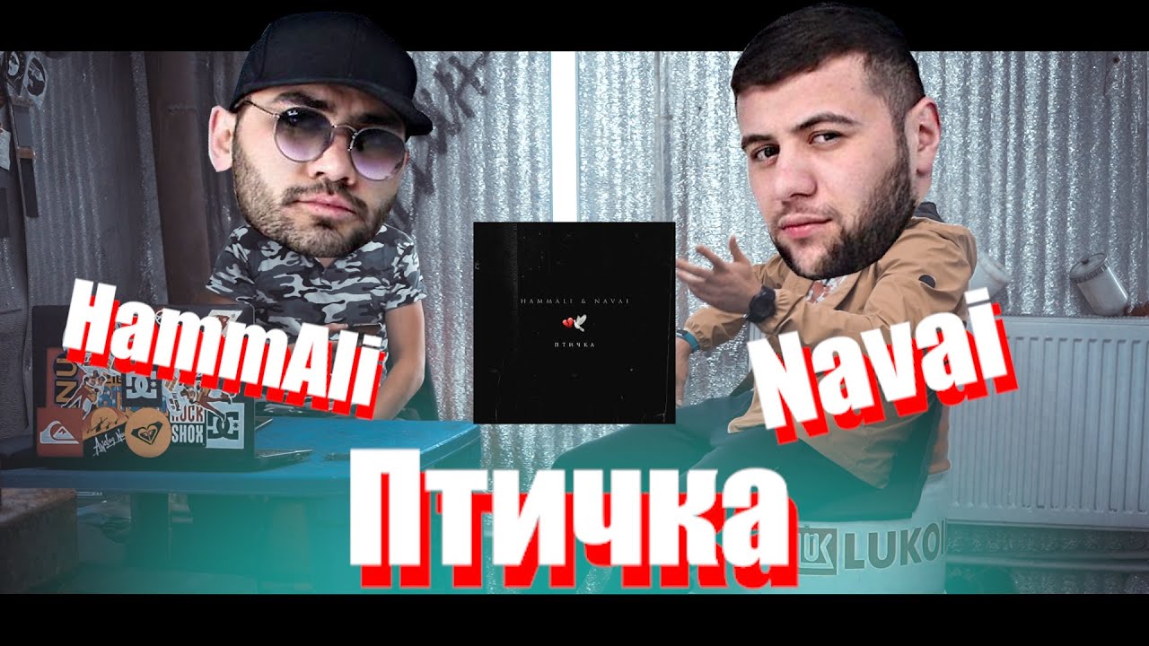 Hammali navai птичка пародия. Птичка HAMMALI Navai.