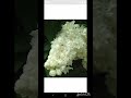 சந்தோசம் எப்பொழுதும் வேண்டும்