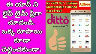 How to install ditto tv free||ditto tv channel app lifetime subscription freeee... screenshot 5