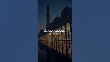 سورة الحج- يَا أَيُّهَا الَّذِينَ آمَنُوا ارْكَعُوا وَاسْجُدُوا❤🙏حمزه يوتيوب