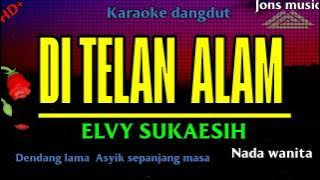 Download lagu DI TELAN ALAM || ELVY SUKAESIH || KARAOKE DANGDUT || NADA WANITA