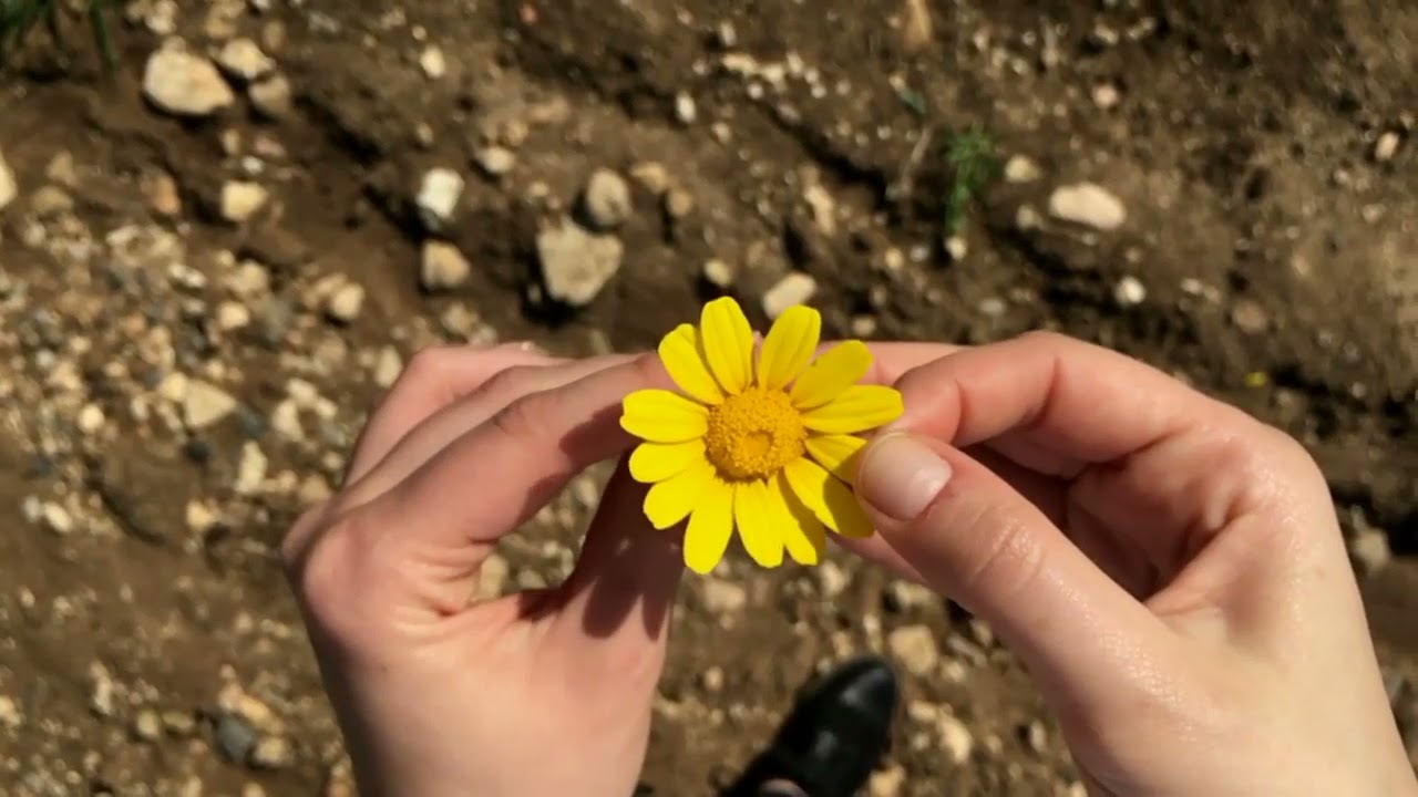 Donate my car Car donation tax write off YouTube