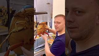 The worlds largest beetle