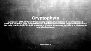 Medical vocabulary: What does Cryptophyta mean