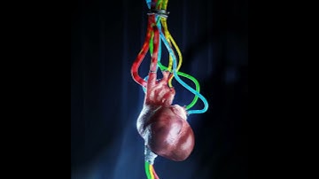 Heartbeat one | 3D loop animation