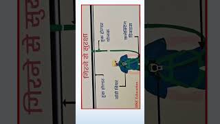 FBH Information #fbh #safetybelt