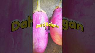 Dahi Baigan ll Summer season special ll Summer food