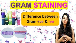 Gram Staining I Difference between Gram Positive & Negative I Microbiology NEET CSIRNET IITJAM GATE