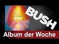 Bush - Black And White Rainbows - Album der Woche auf ROCK ANTENNE