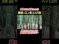 【鎌倉・江ノ島】1日で満喫する最強モデルコースでコスパよく楽しむ女ひとり旅｜鎌倉大仏｜鶴岡八幡宮｜銭洗弁財天｜報国寺｜鳩サブレー【おすすめお土産&ランチ】#節約　#鎌倉