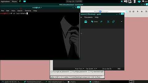 Router Authentication Hack with Kali Linux