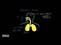 Understanding and Interpreting ABGs Part 5: Respiratory Acidosis